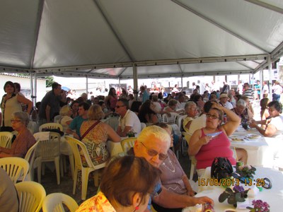 Geral 1